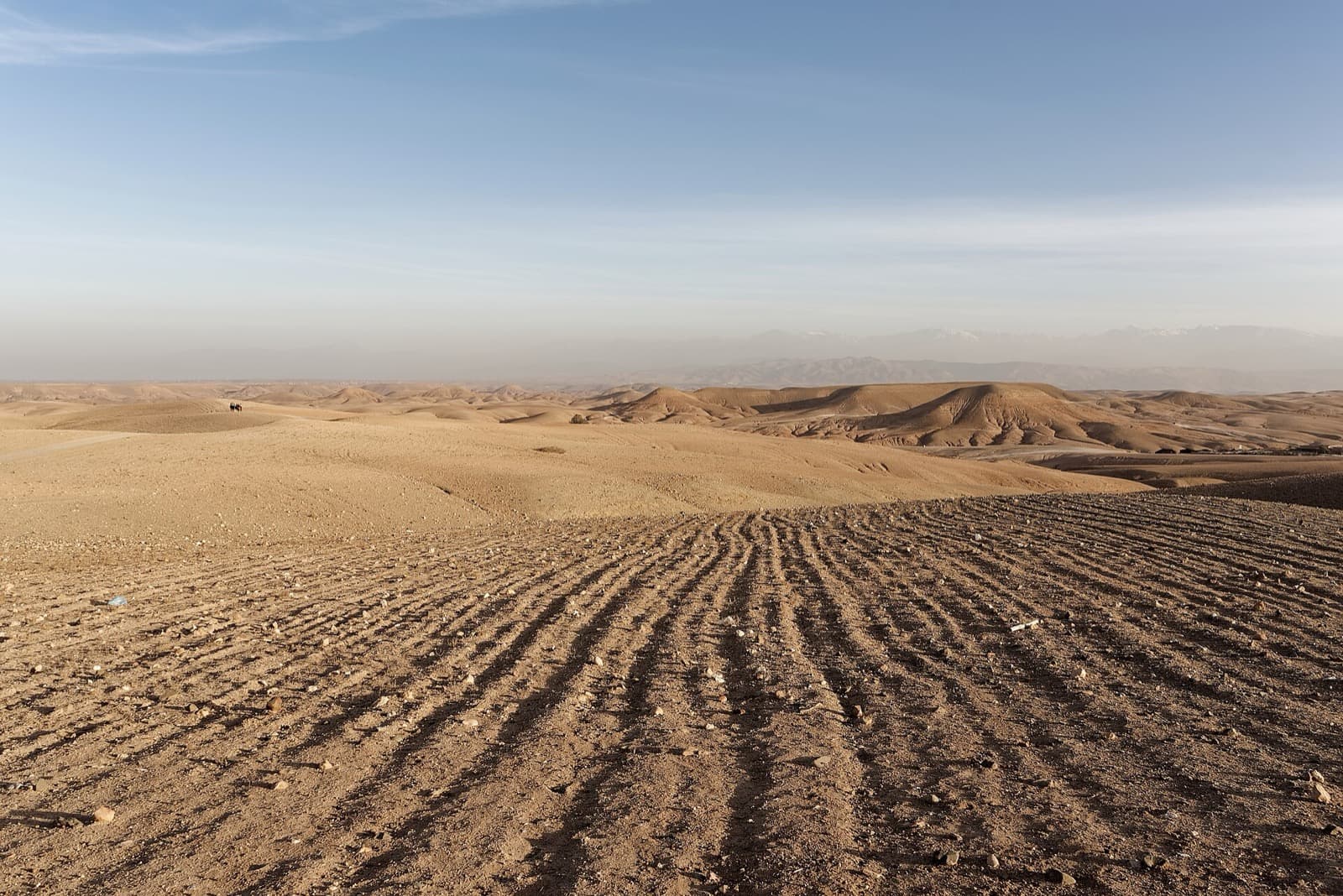 The stony hills of the Agafay desert near Marrakech