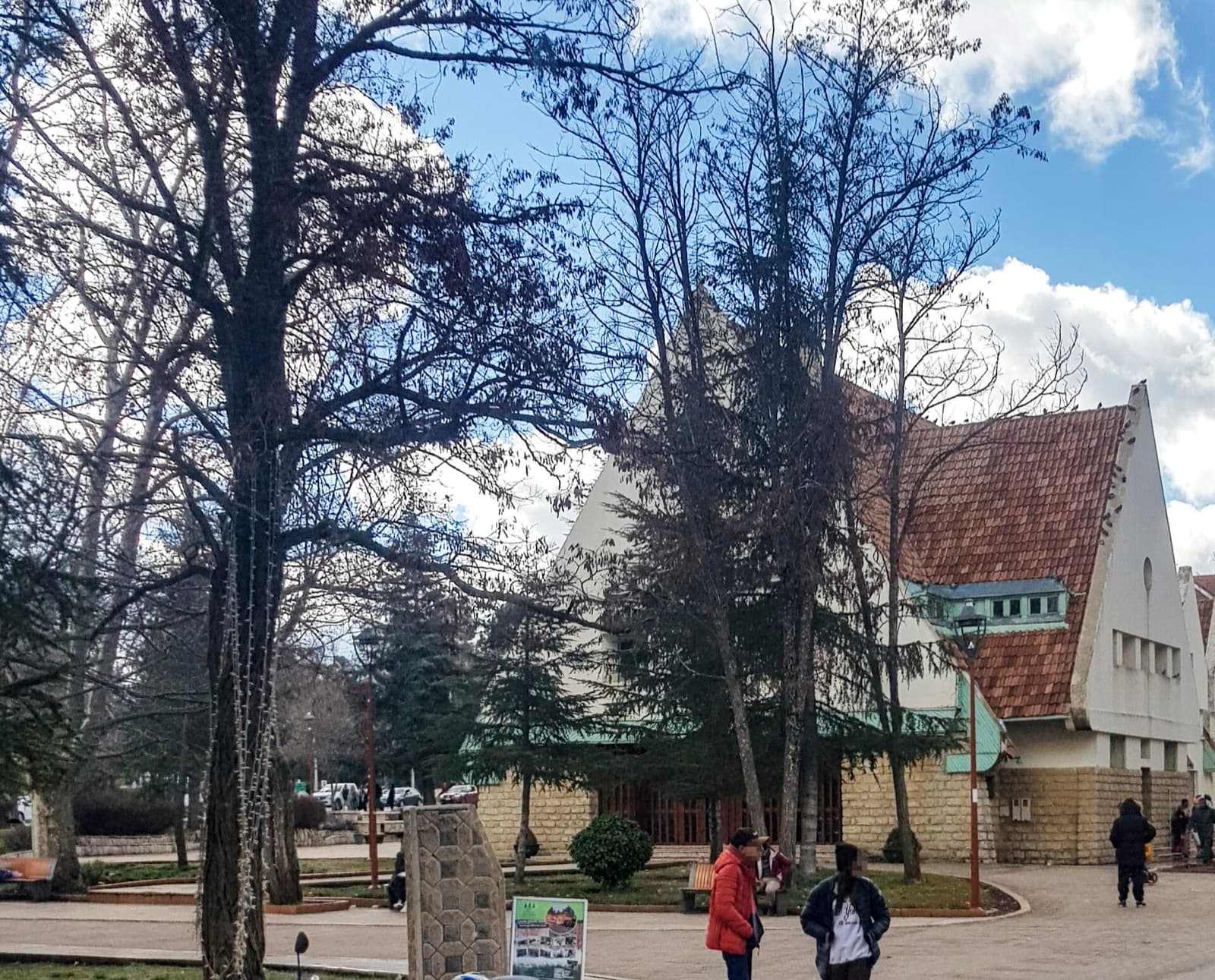 Alpine-style houses and trees in Ifrane