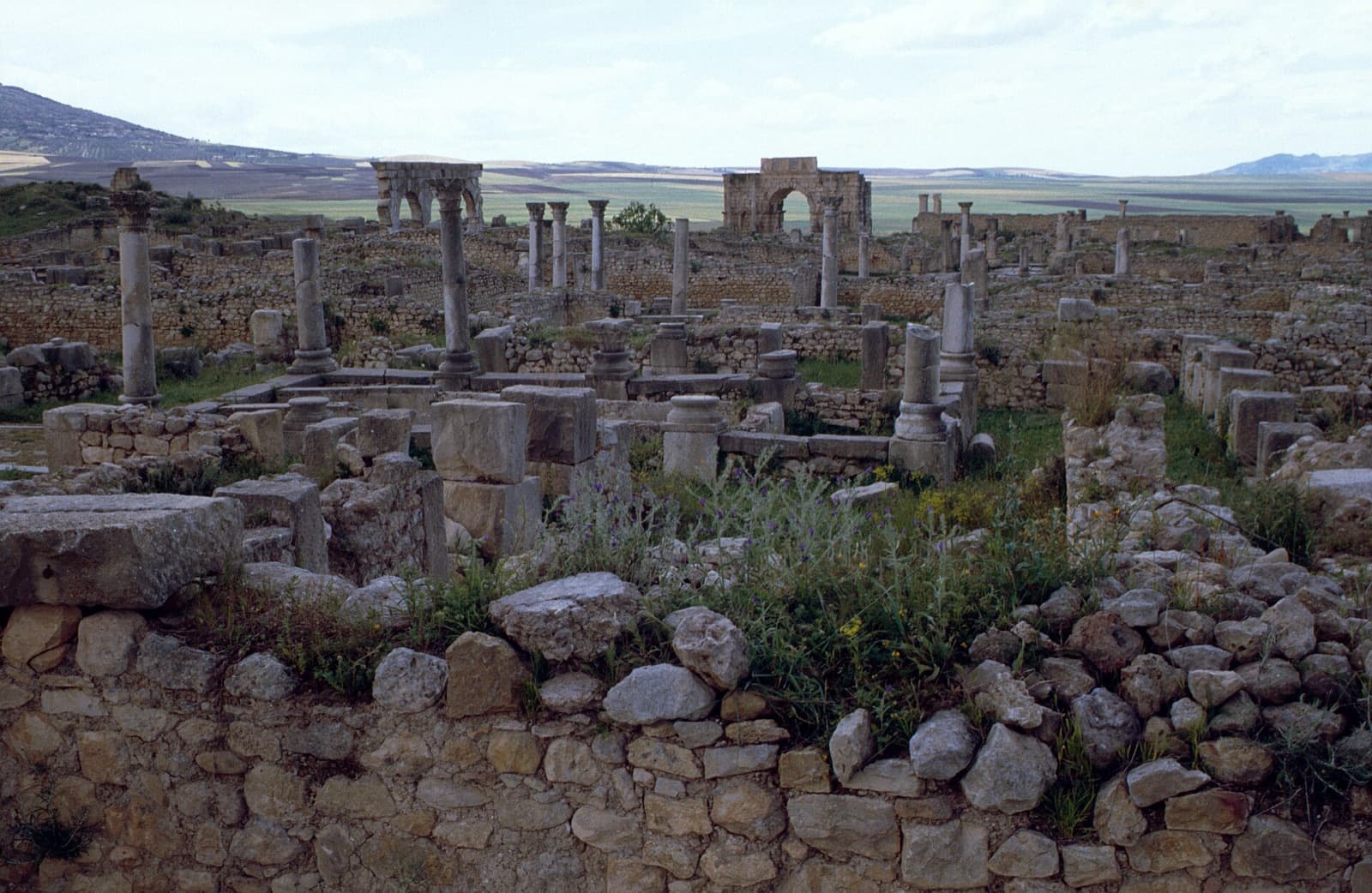 The Roman ruins of Volubilis